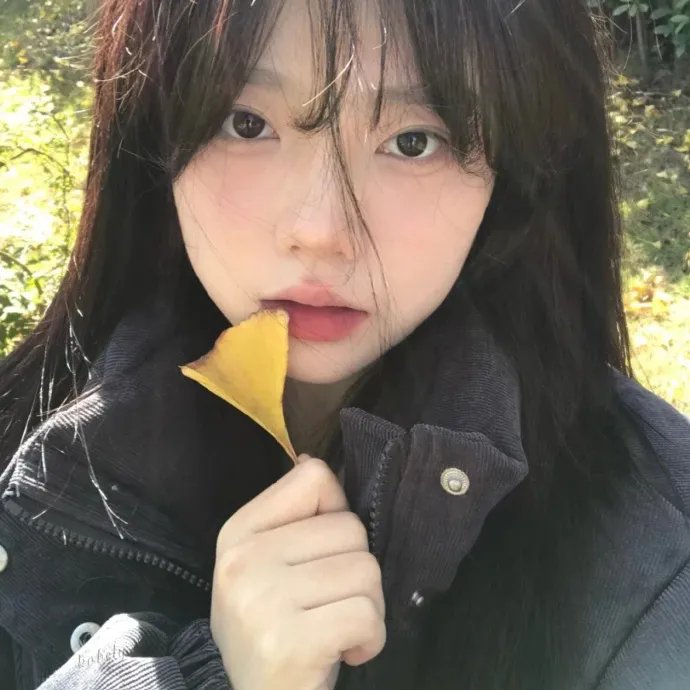 我的掌门女友第二季